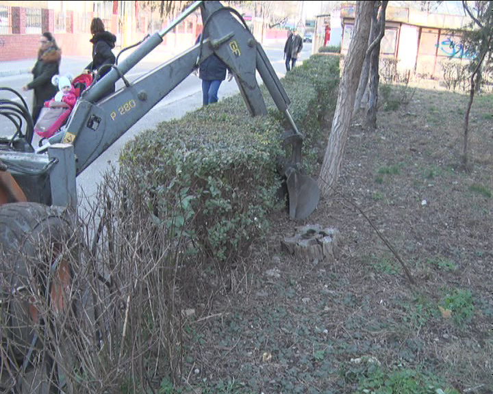 Garduri regenerabile. Proiect propus spre aprobare în CLM