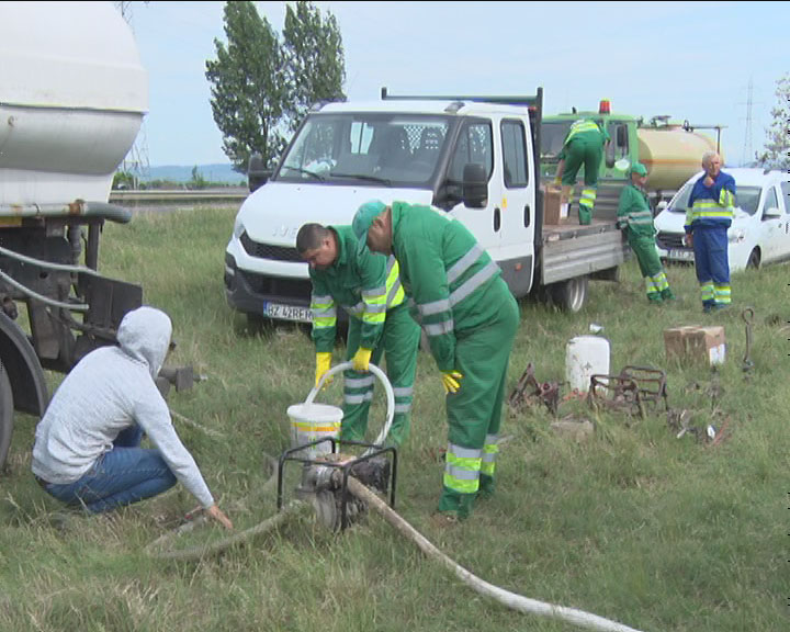 Prima dezinsecție. A fost declanșat atacul împotiva căpușelor