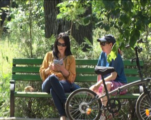 telefone internet in parc