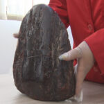 O pepită celebră. Opritorul de ușă unicat din Colți.