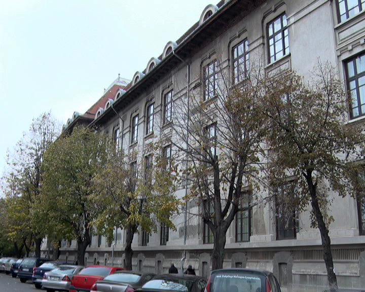 Recepție așteptată. Luni va fi convocată comisia pentru Eminescu