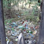 Gunoaie permanente. Pădurea Crâng este năpădită de deșeuri