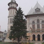 Bradul municipal. Buzăul va avea tot doi Pomi de Crăciun