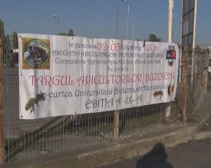 targ apicol 1