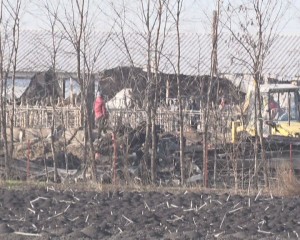 ferma porci 3
