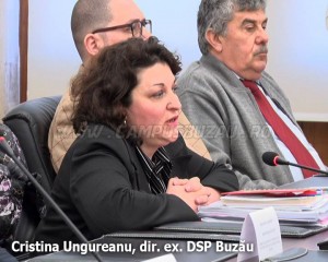 Cristina ungureanu DSP