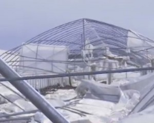 solar rupt