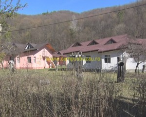 poiana pinului 2