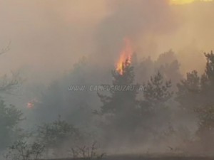 incendiu breaza