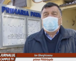 patarlagele primar