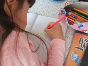 scoala de acasa