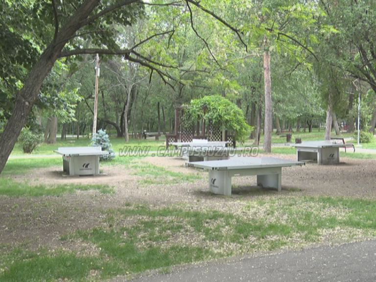 Tenis de masă în Crâng. Sportul în aer liber are succes