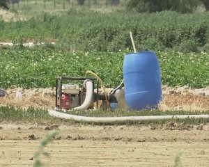 pesticide 1