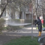 Atac la căpușe. Vor fi declanșate acțiuni de dezinsecție și deratizare