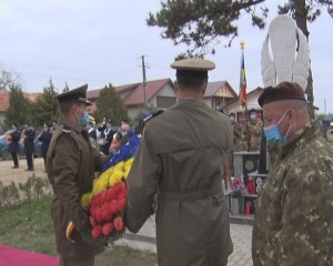 veterani 6