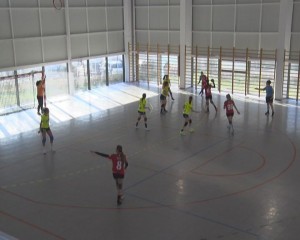 handbal lps 1