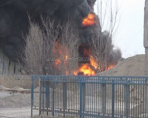 incendiu pogonele greenwee 2