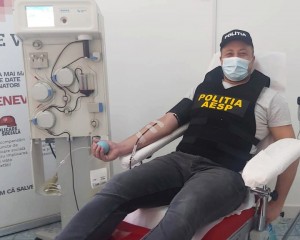 plasma 1