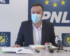 gabriel avramescu pnl