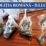 Grupare de traficanți de droguri, destructurată de polițiști. Printre ei erau și minori