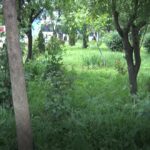 Orașul florilor de anii trecuți s-a transformat acum într-o ruină