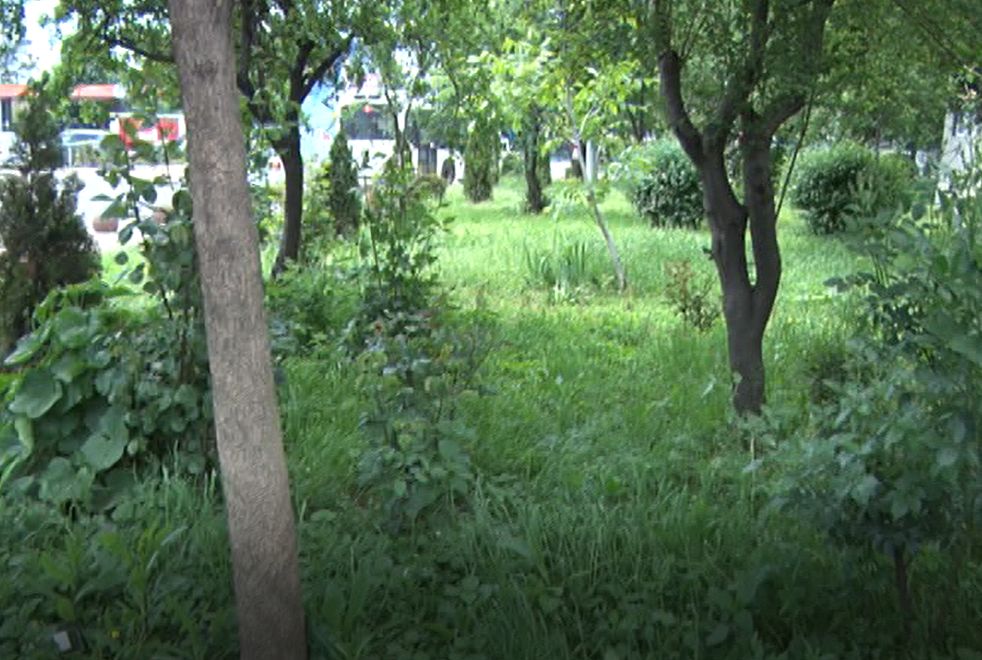 Orașul florilor de anii trecuți s-a transformat acum într-o ruină