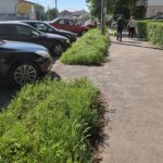 Ieșire furibundă a deputatului Avrămescu: “Am descoperit ce înseamnă "#BuzăulVerde"