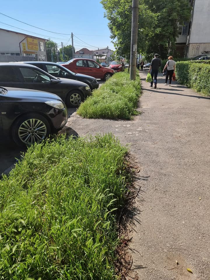 Ieșire furibundă a deputatului Avrămescu: “Am descoperit ce înseamnă „#BuzăulVerde”