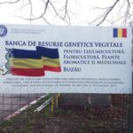 Banca de gene a rămas fără finanțare. Explicația oferită de cercetătorul Costel Vânătoru