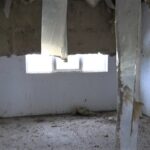 (VIDE0) Lucrări abandonate de 10 ani! Iată imagini incredibile de la un liceu agricol din Buzău!