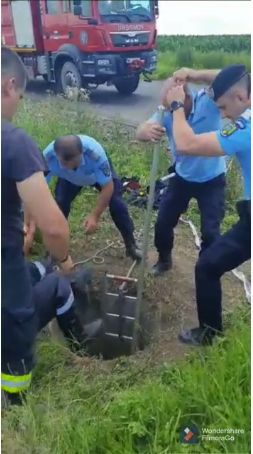 Misiune inedită a pompierilor și jandarmilor. Au scos un bursuc dintr-un puț
