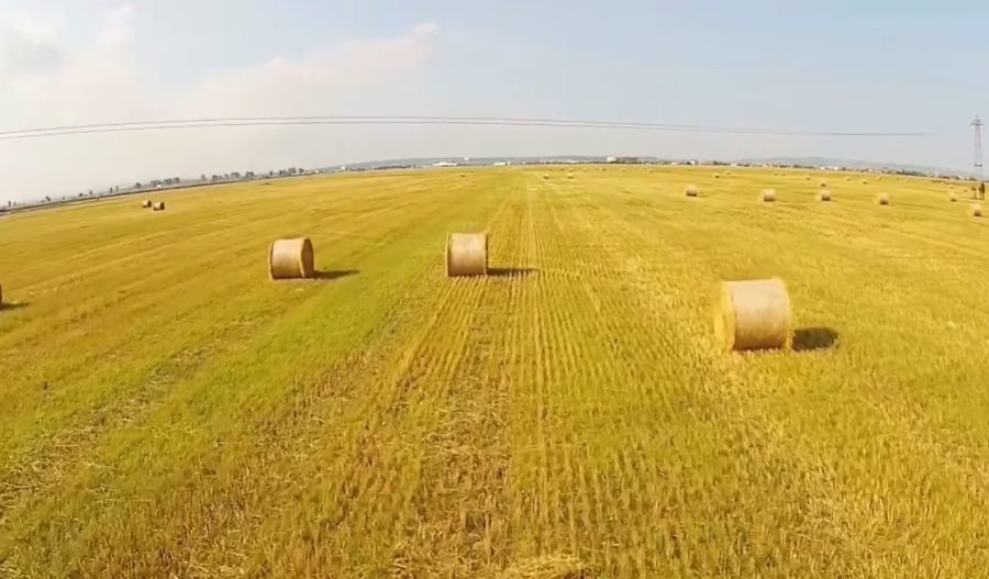 Agricultură de top. Buzăul nu a primit nicio înștiințare de secetă