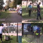 Crescute ca din apă. Cosașii au pornit ofensiva împotriva ierburilor.