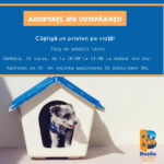 Târg de adopții la Padoc. 21 de caini așteaptă să își găsească stăpân