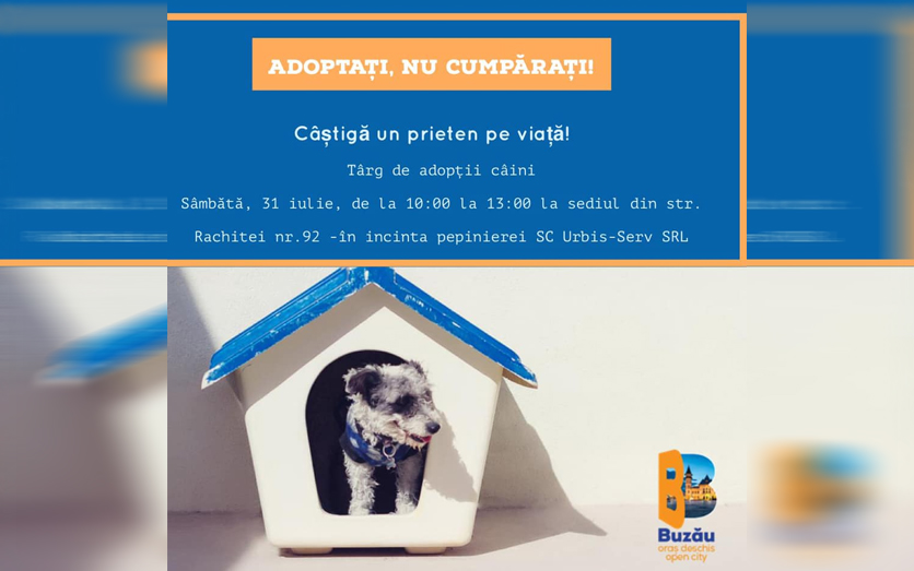 Târg de adopții la Padoc. 21 de caini așteaptă să își găsească stăpân