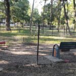 Adopții în parc. În padocul din Crâng ar putea fi organizate târguri pentru căței.