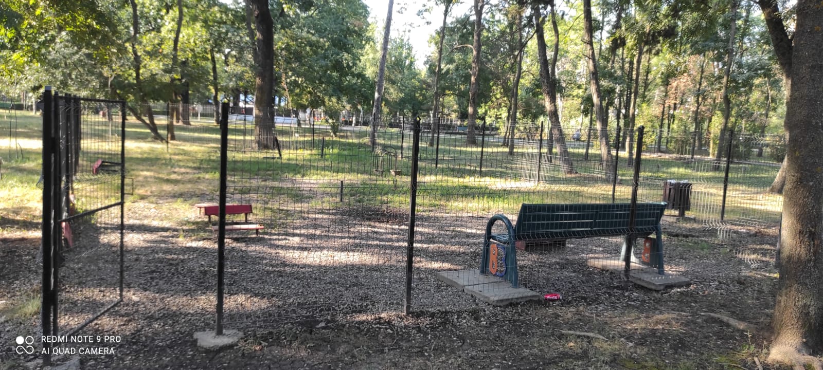 Adopții în parc. În padocul din Crâng ar putea fi organizate târguri pentru căței.