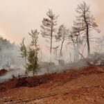 Pompierii buzoieni, în luptă cu flăcările din Grecia