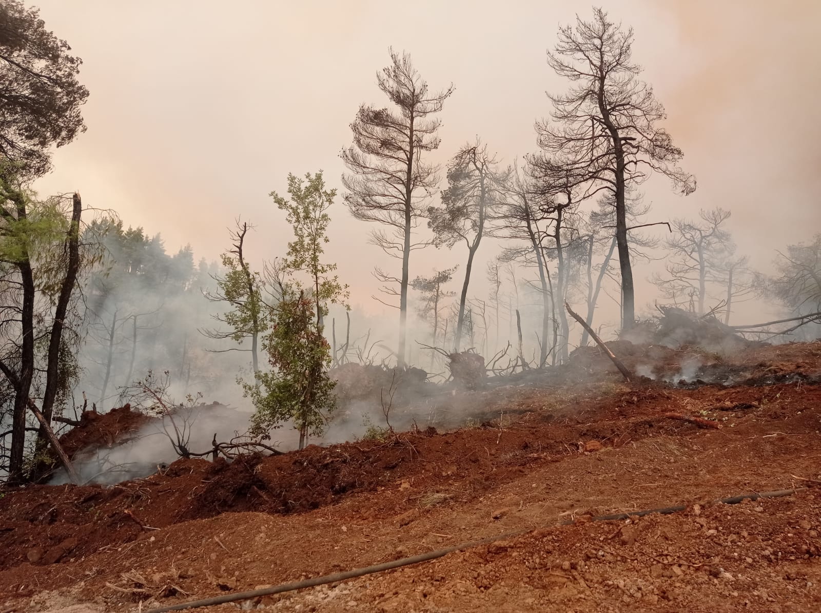 Pompierii buzoieni, în luptă cu flăcările din Grecia
