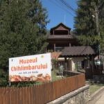 Record la Muzeul Chihlimbarului. Mii de vizitatori i-au călcat pragul.