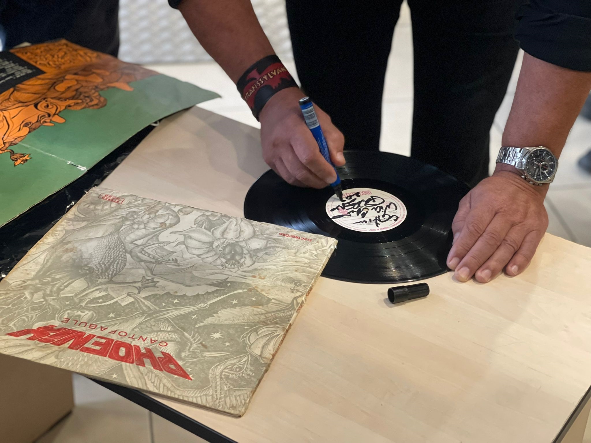 ”Cei ce ne-au dat nume”.Expoziție semnată Nicu Covaci și Valeriu Sepi