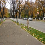 Bulevard problemă. Discuții despre transformarea bulevardului Bălcescu în zonă pietonală permanentă.