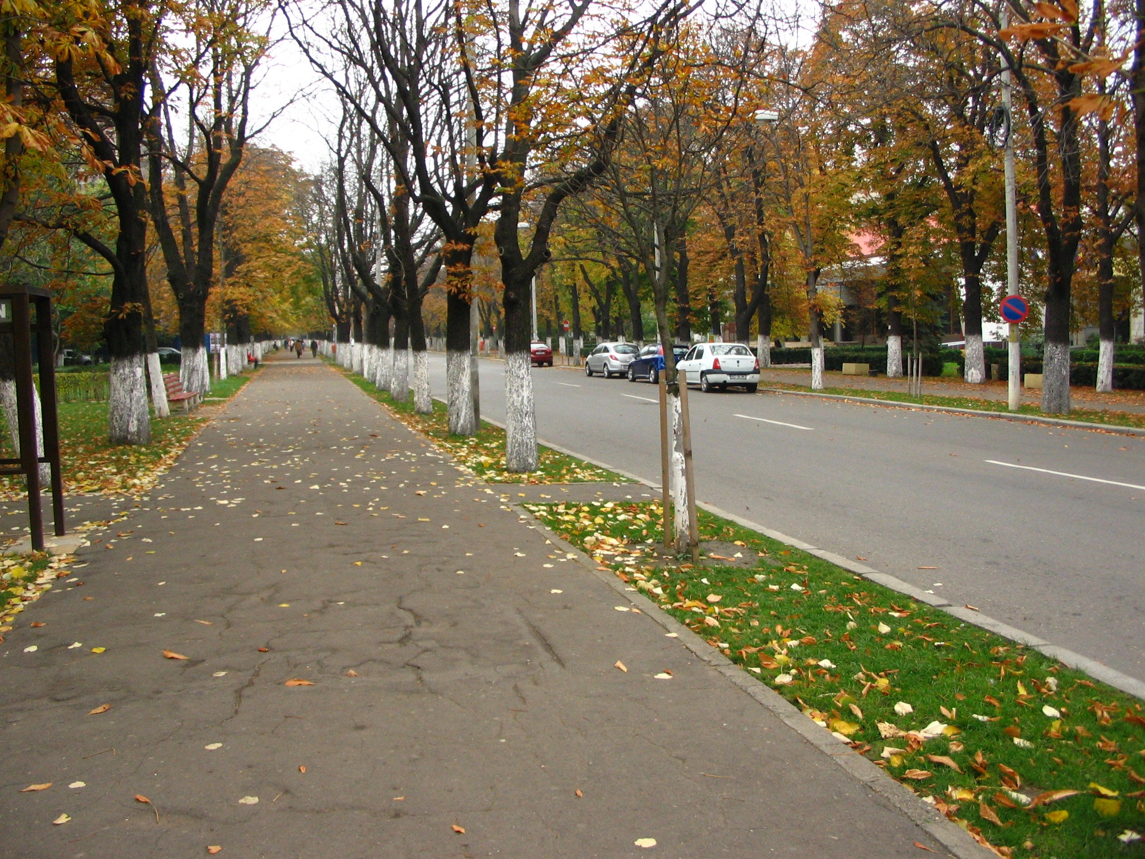 Bulevard problemă. Discuții despre transformarea bulevardului Bălcescu în zonă pietonală permanentă.