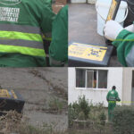 Acțiune de deratizare efectuată de Rer Sud. Se va desfășura în toate cartierele