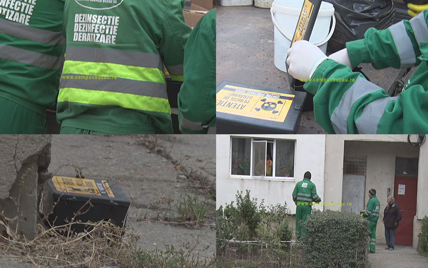 Acțiune de deratizare efectuată de Rer Sud. Se va desfășura în toate cartierele