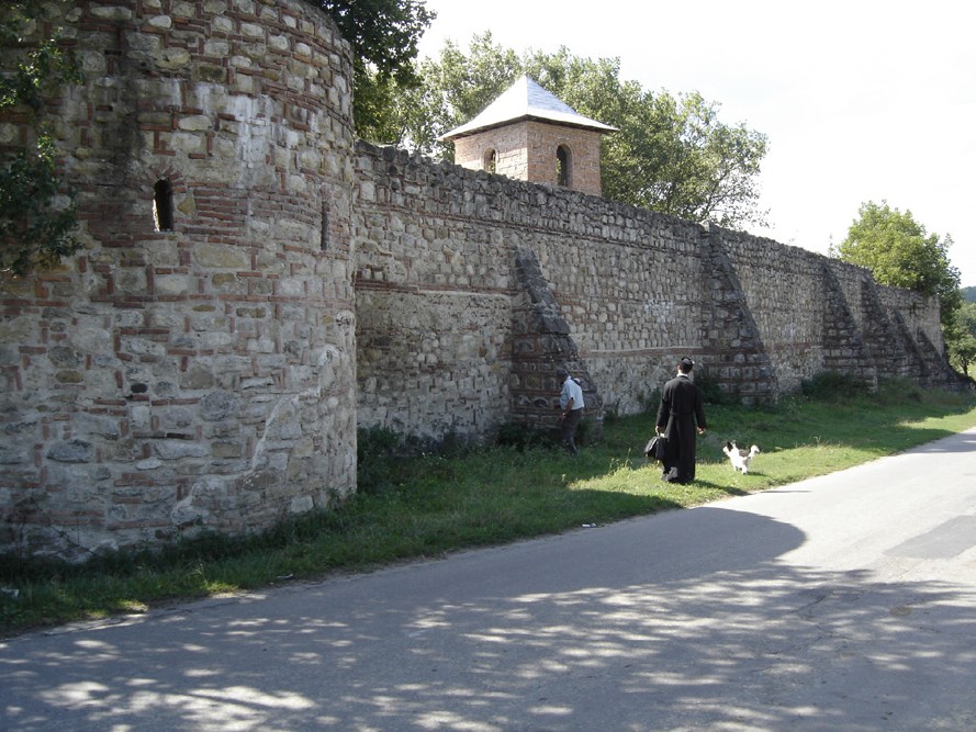 Intrarea în cetate. Porțile mănăstirii Bradu vor fi expuse la muzeu.