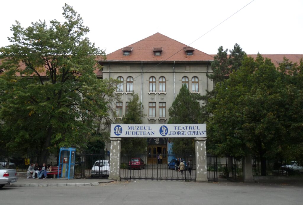 Program de pandemie. Muzeul Județean își continuă activitatea