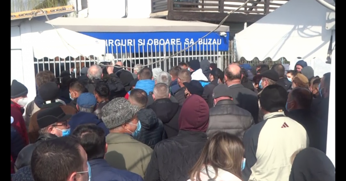 De-a râsu’ – plânsu’. Societatea care administrează piețele buzoiene a încetat să existe.