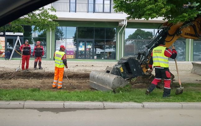 Atenție la pomi. Utilajele care reabilitează bulevardul Unirii îi pot răni.