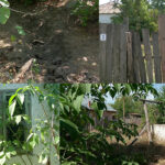 Şi-a ţinut ascunsă mama moartă ca să-i încaseze pensia. Ce justifică acum bărbatul